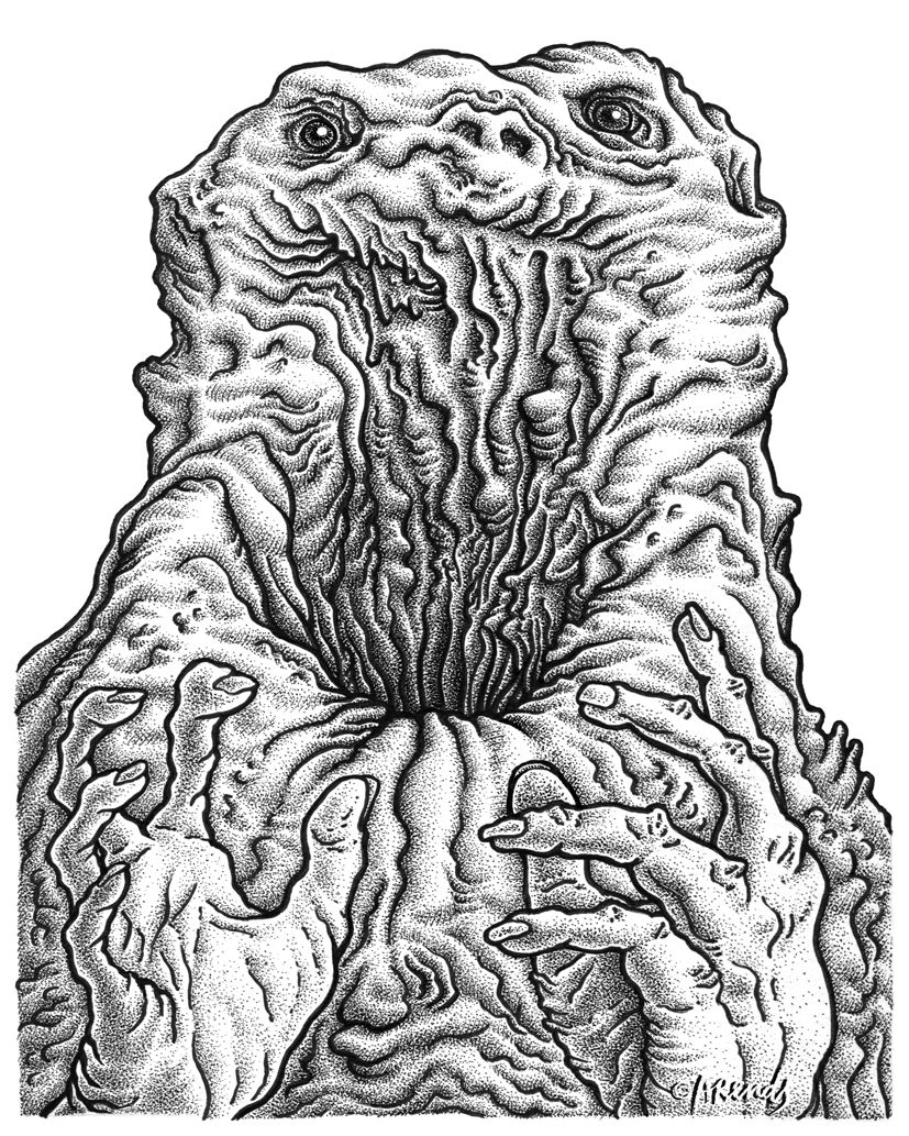 The Void