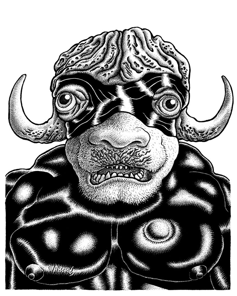 The OX