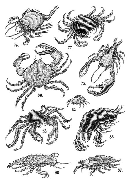 Catalogus 1b pag 02