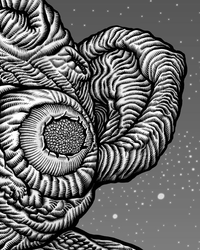 De trol - detail 1
