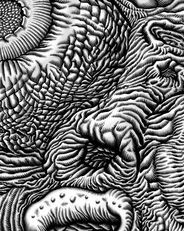 De trol - detail 2