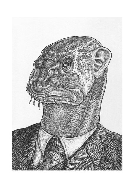 De kabeljauw (The cod)