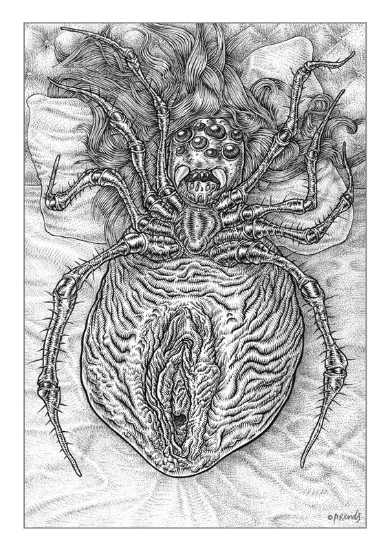 De zwarte weduwe (The black widow)